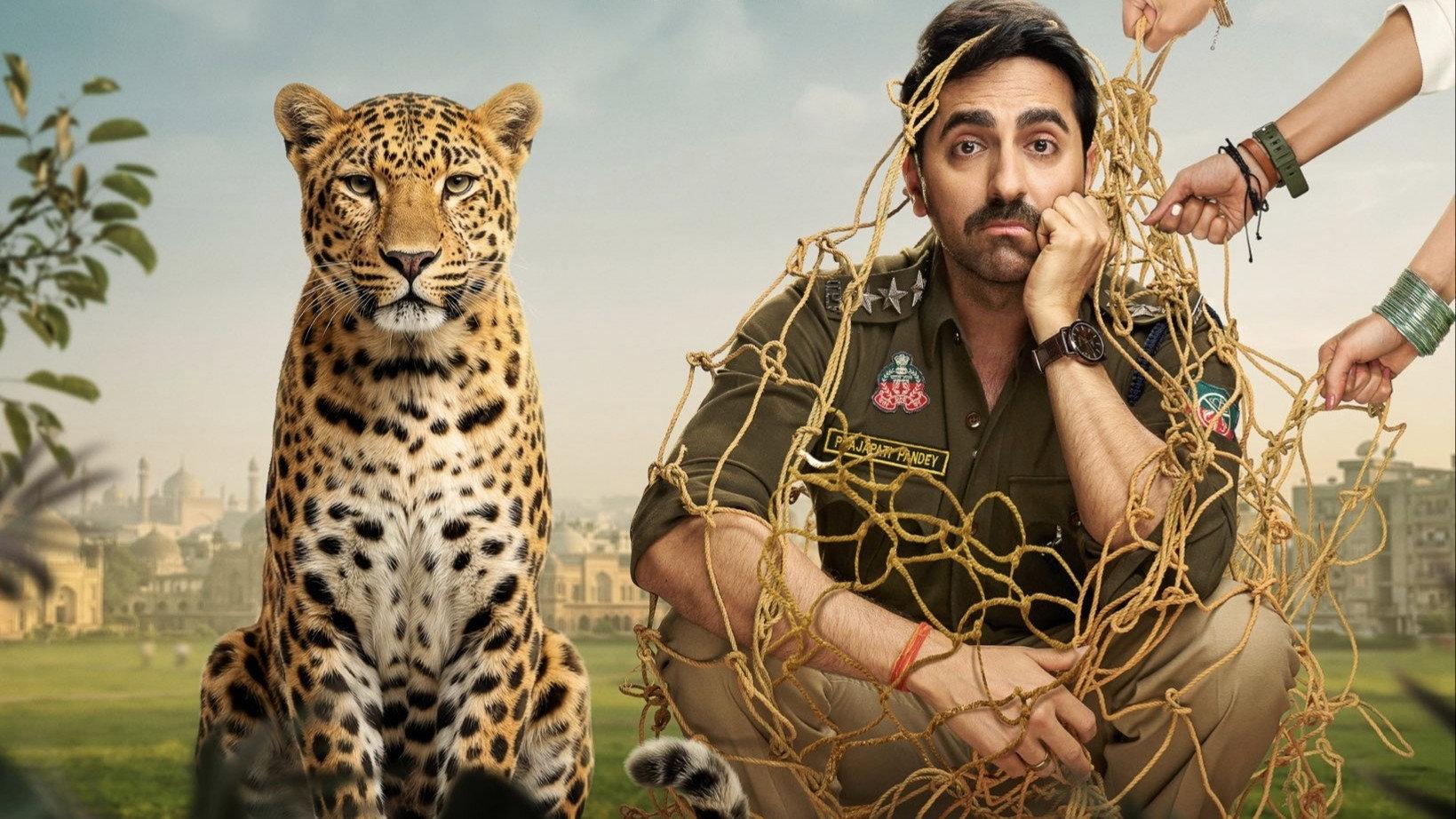 Upcoming Comedy Movies