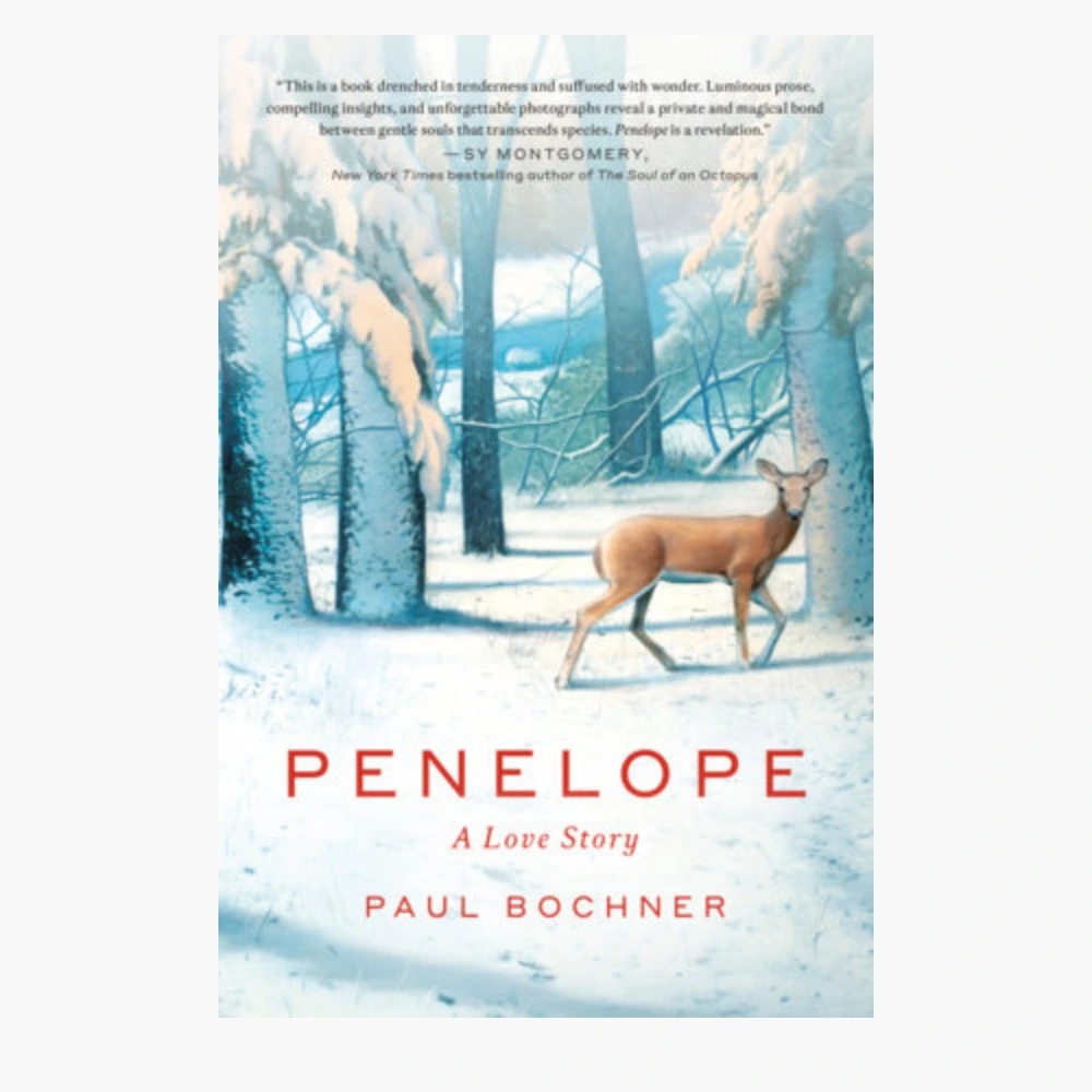 Penelope