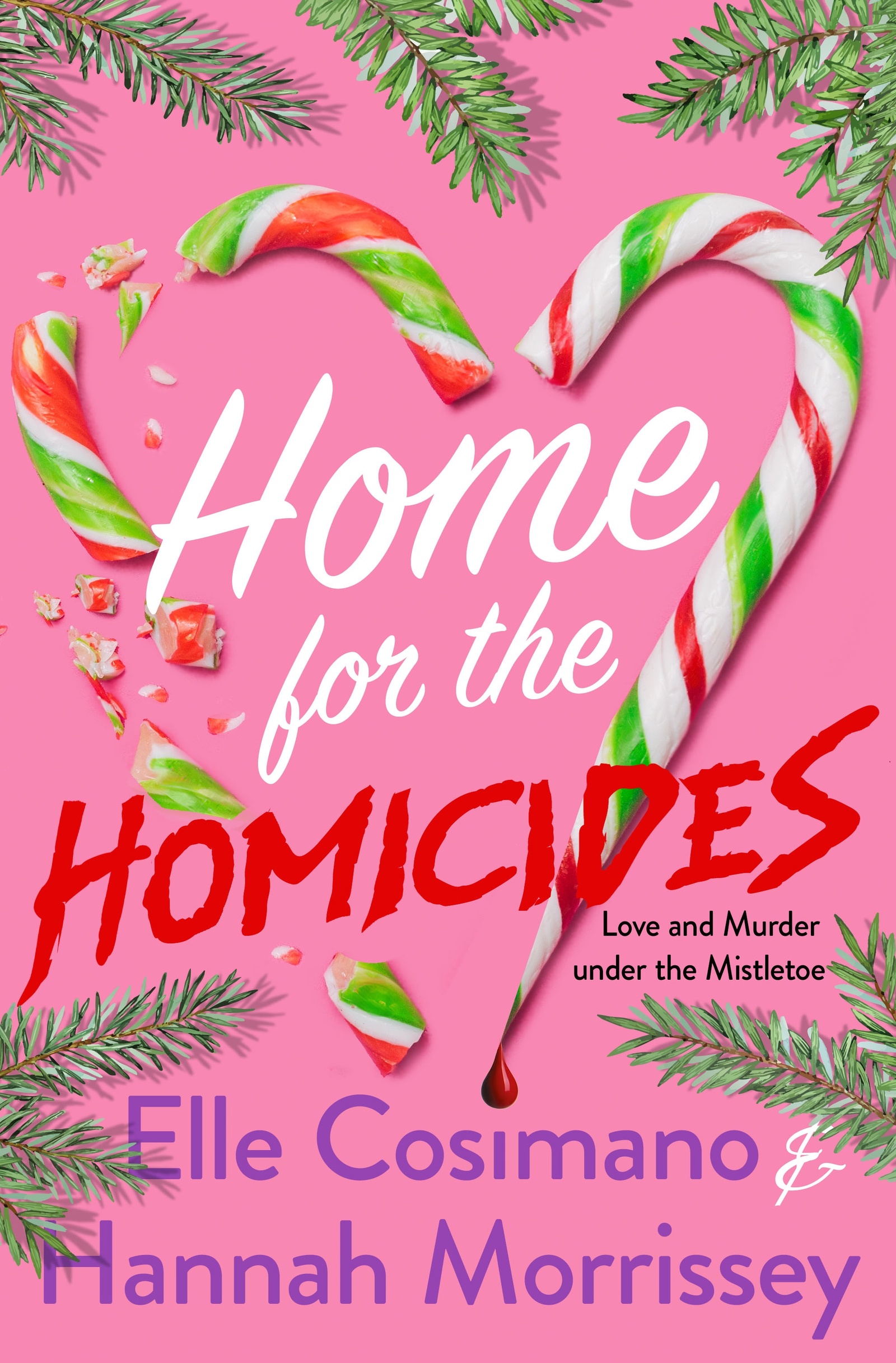 Home for the Homicides (Holly & Mark Mystery, #1)