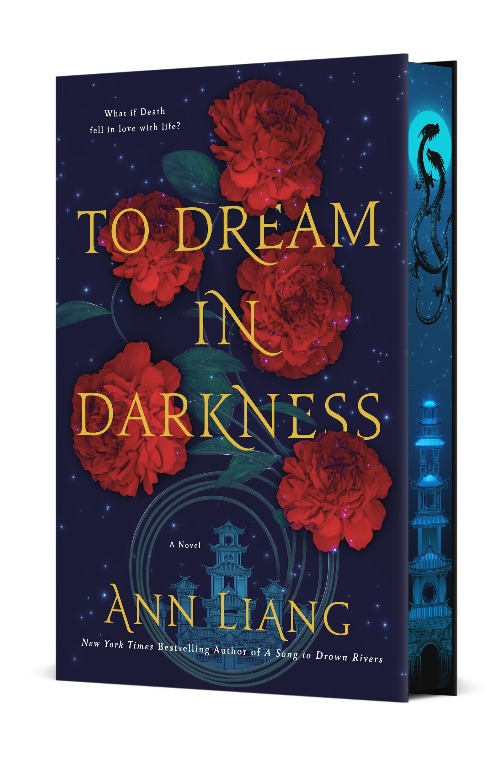 To Dream in Darkness